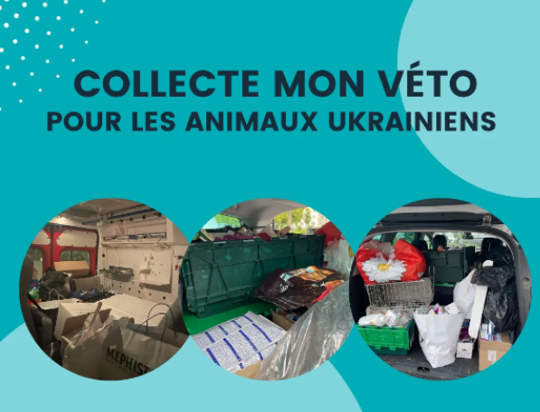 ACTUALITES-COLLECTE-SOLIDAIRE-UKRAINE-une ACTUALITES-COLLECTE-SOLIDAIRE-UKRAINE-une