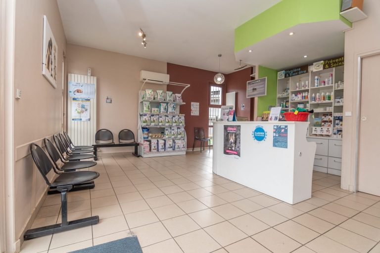 2024 02 08 mon vÉto shooting 3654614 11 impasse route de paris tassin la demi lune 69160 003