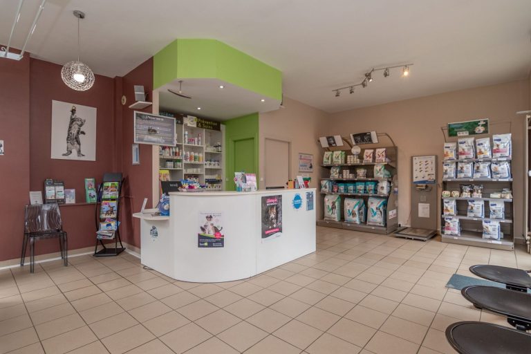 2024 02 08 mon vÉto shooting 3654614 11 impasse route de paris tassin la demi lune 69160 004