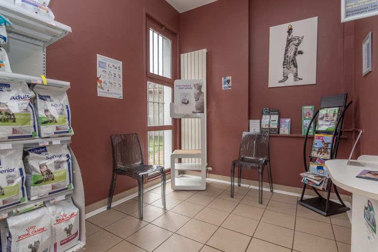 2024 02 08 mon vÉto shooting 3654614 11 impasse route de paris tassin la demi lune 69160 005