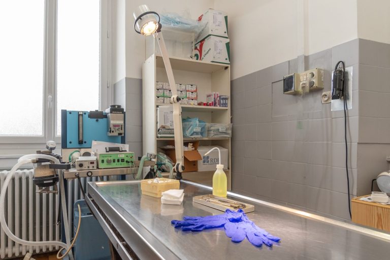 2024 02 08 mon vÉto shooting 3654614 11 impasse route de paris tassin la demi lune 69160 008