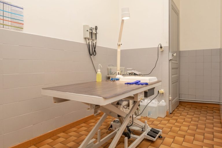 2024 02 08 mon vÉto shooting 3654614 11 impasse route de paris tassin la demi lune 69160 009