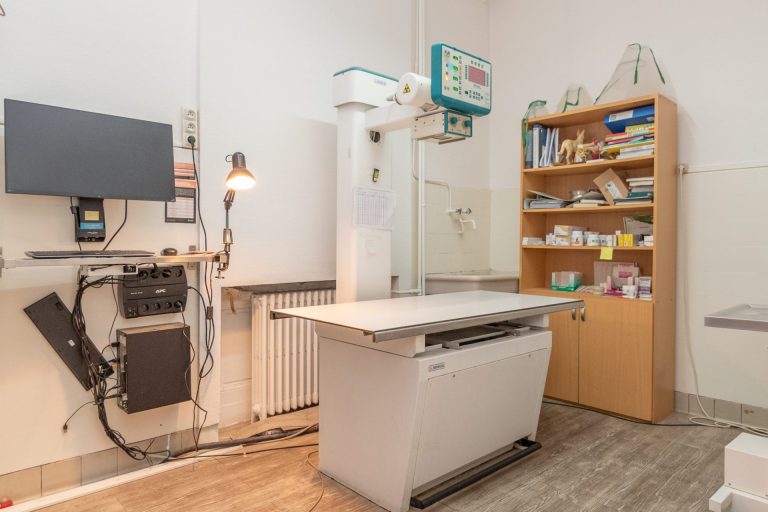 2024 02 08 mon vÉto shooting 3654614 11 impasse route de paris tassin la demi lune 69160 010