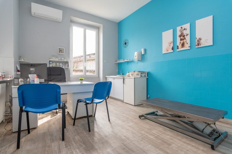 2024 02 08 mon vÉto shooting 3654614 11 impasse route de paris tassin la demi lune 69160 012