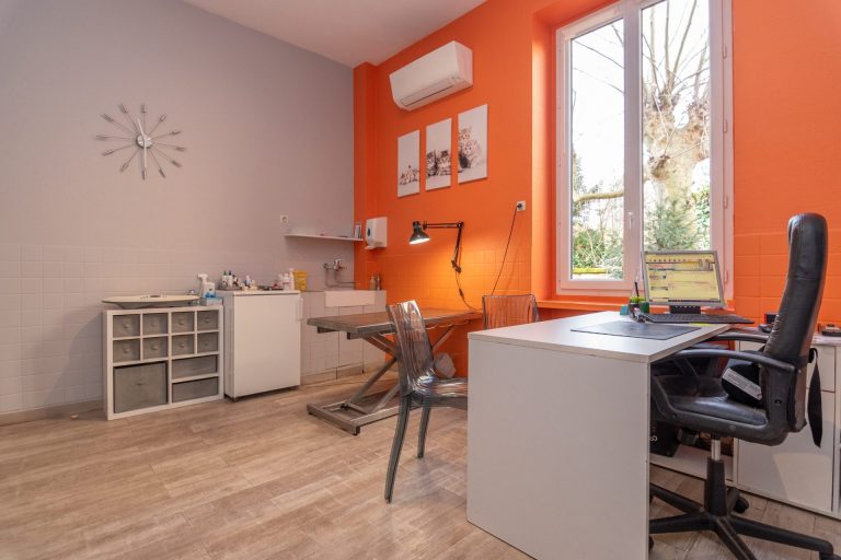 2024 02 08 mon vÉto shooting 3654614 11 impasse route de paris tassin la demi lune 69160 013