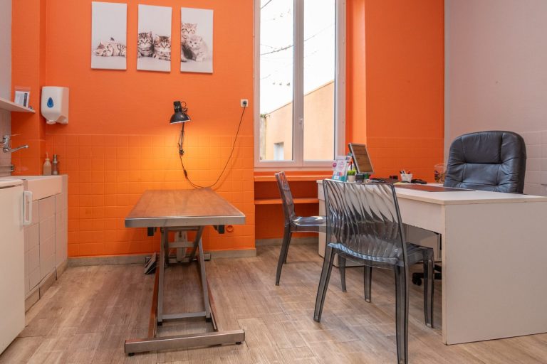 2024 02 08 mon vÉto shooting 3654614 11 impasse route de paris tassin la demi lune 69160 014