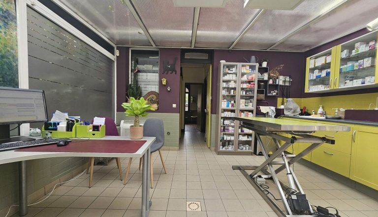 Salle de consultation vétérinaire