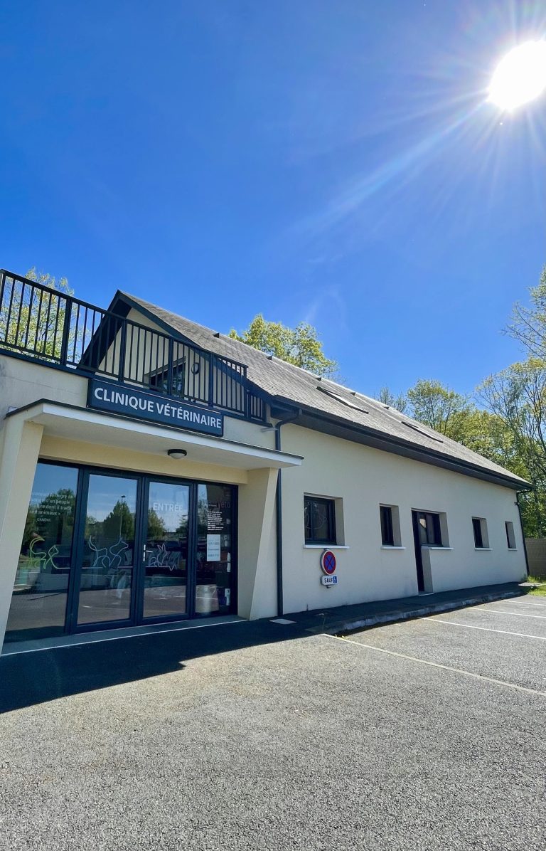 441875842 399652419651249 2286893583830879352 n