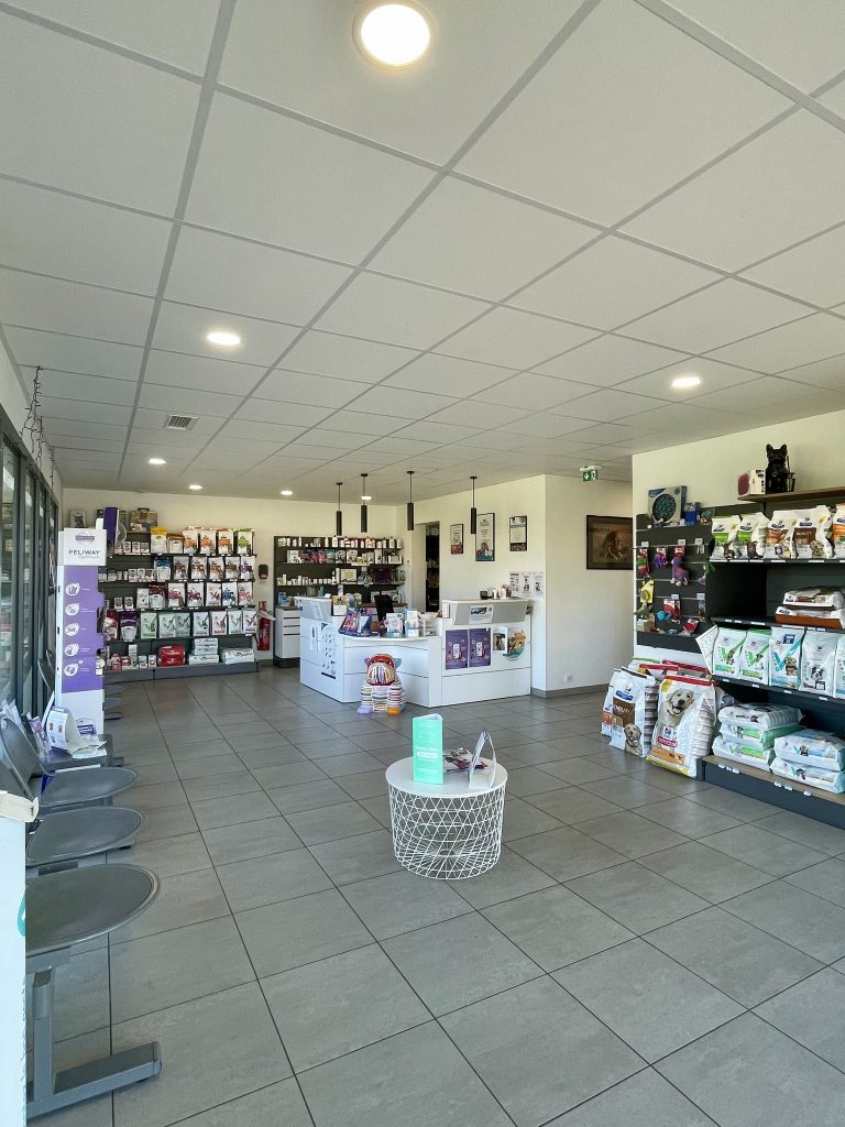 441883987 399652472984577 7667486774364700207 n