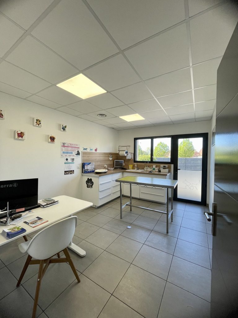 441899882 399652459651245 2391087417938788122 n