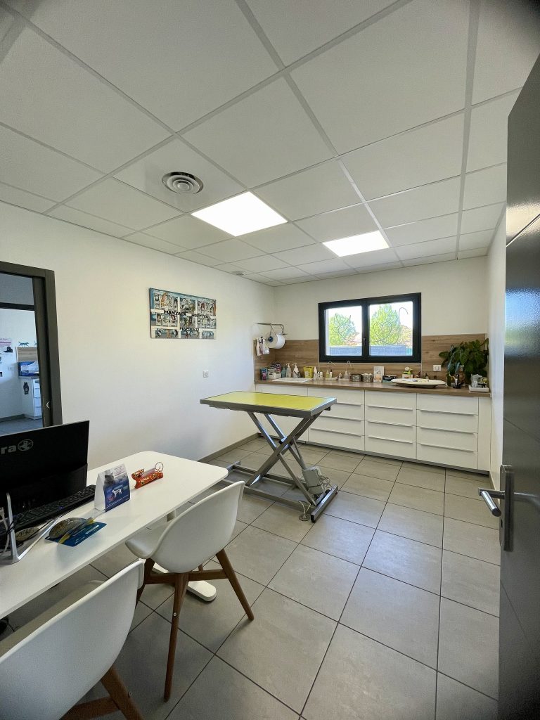 441901910 399652486317909 5060791146863104763 n