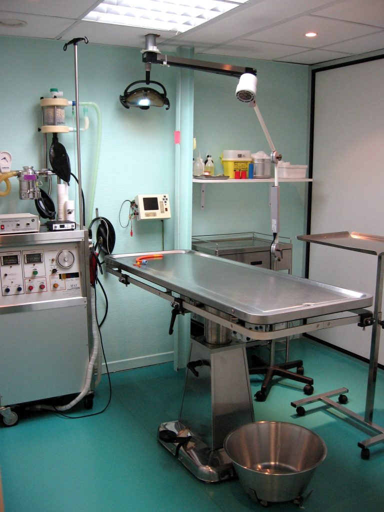 Bloc opératoire vétérinaire