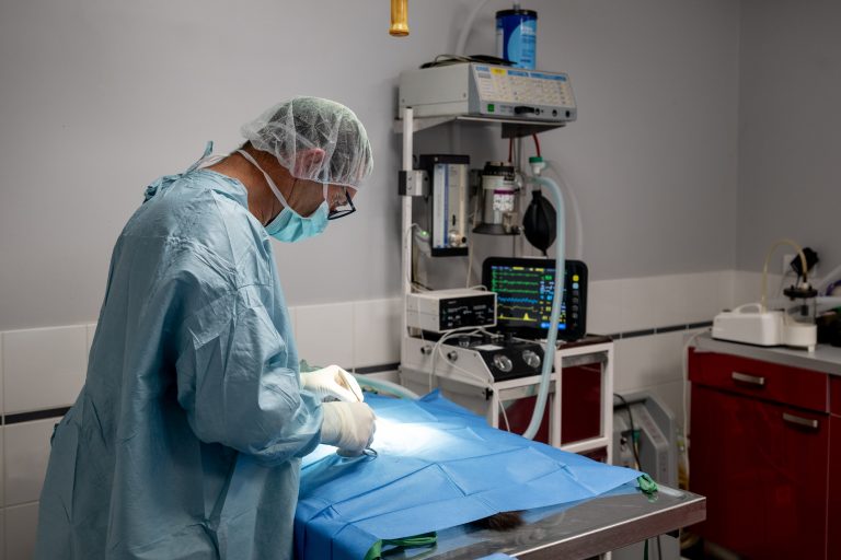 clinique vétérinaire alfavet le bouscat 01