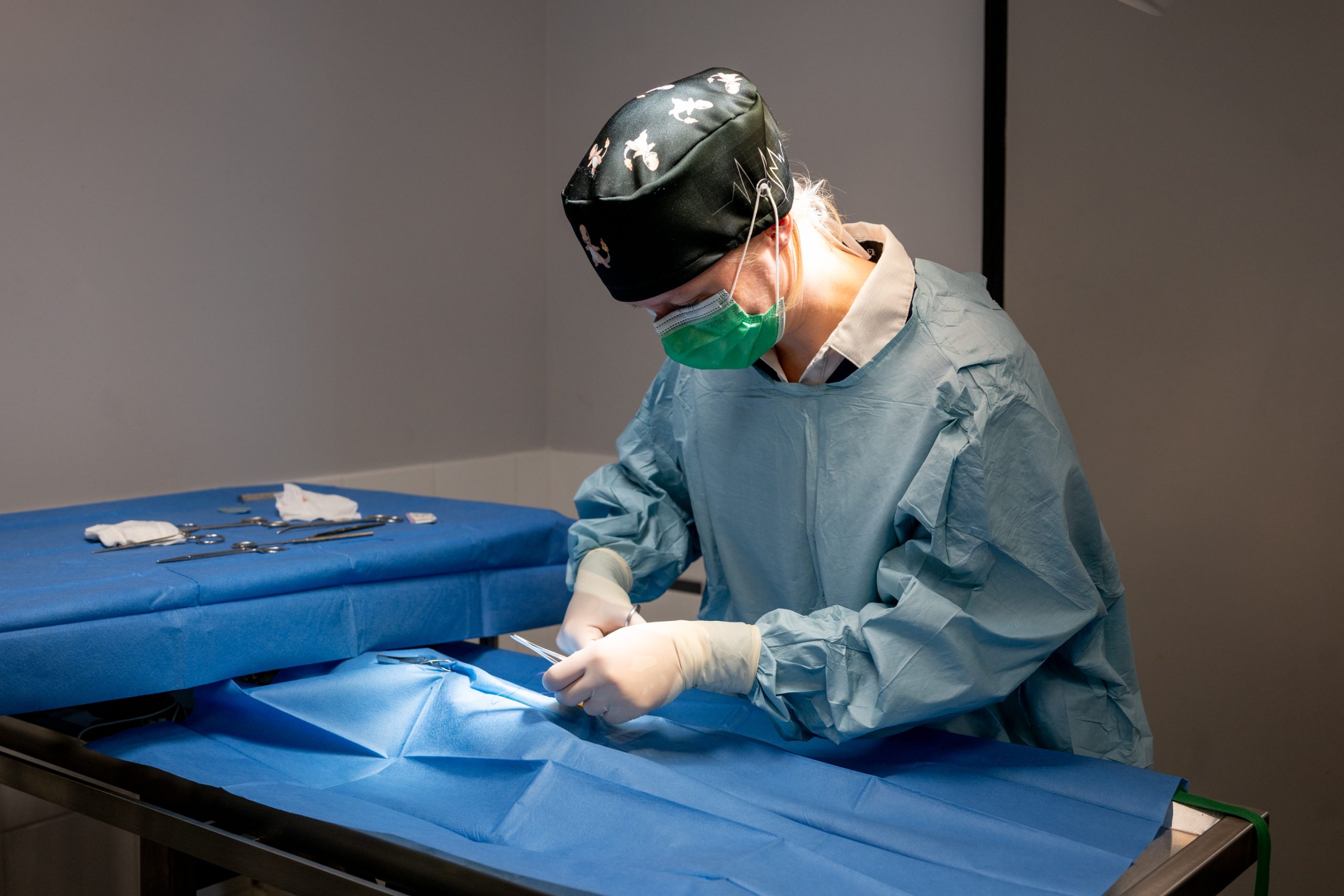 clinique vétérinaire alfavet le bouscat 02
