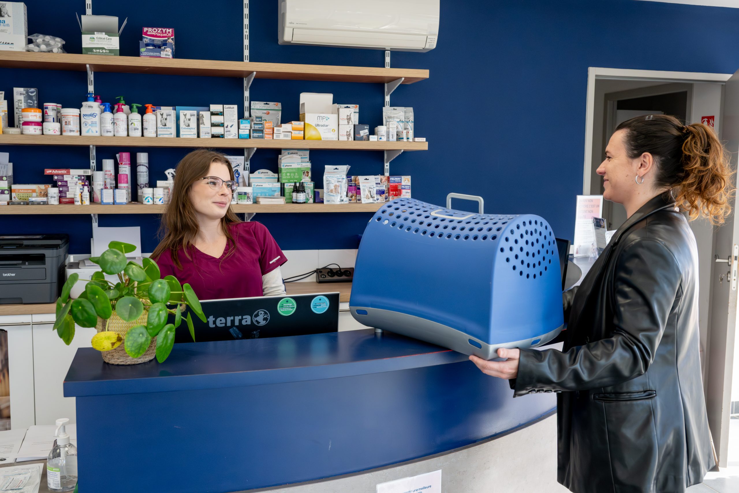 clinique vétérinaire alfavet le bouscat 20