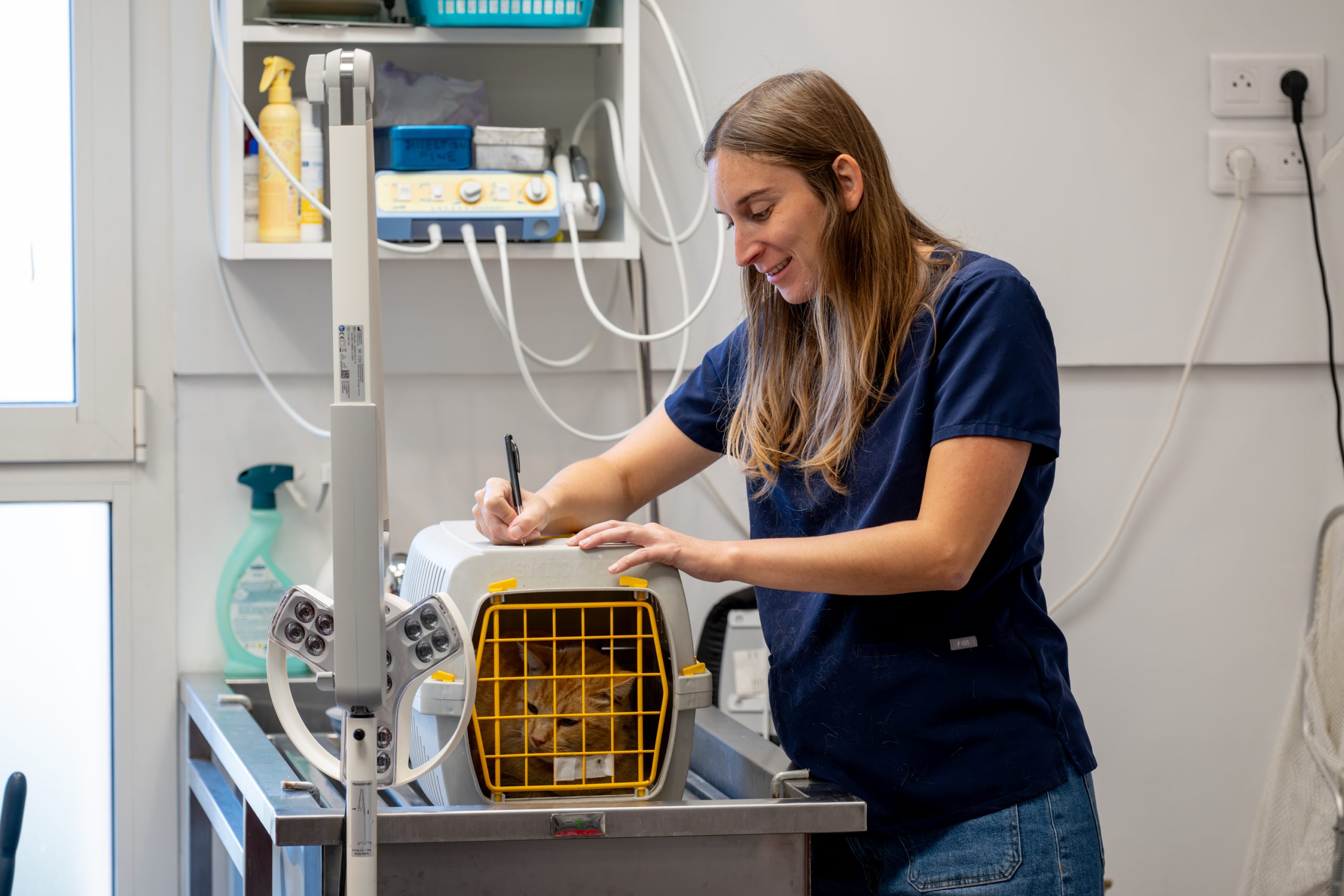 clinique vétérinaire alfavet le bouscat 22