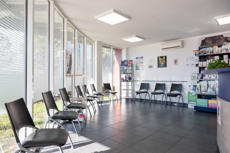 clinique vétérinaire alfavet le bouscat 23