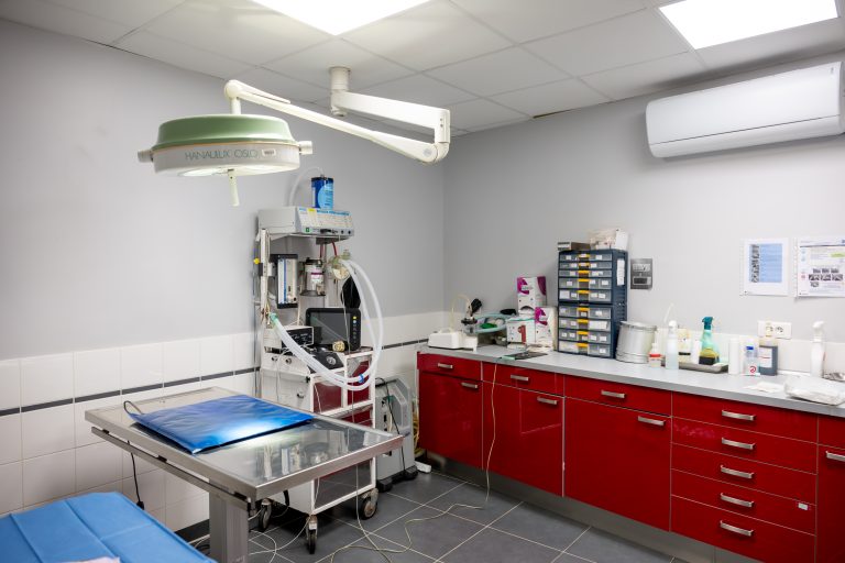 clinique vétérinaire alfavet le bouscat 28