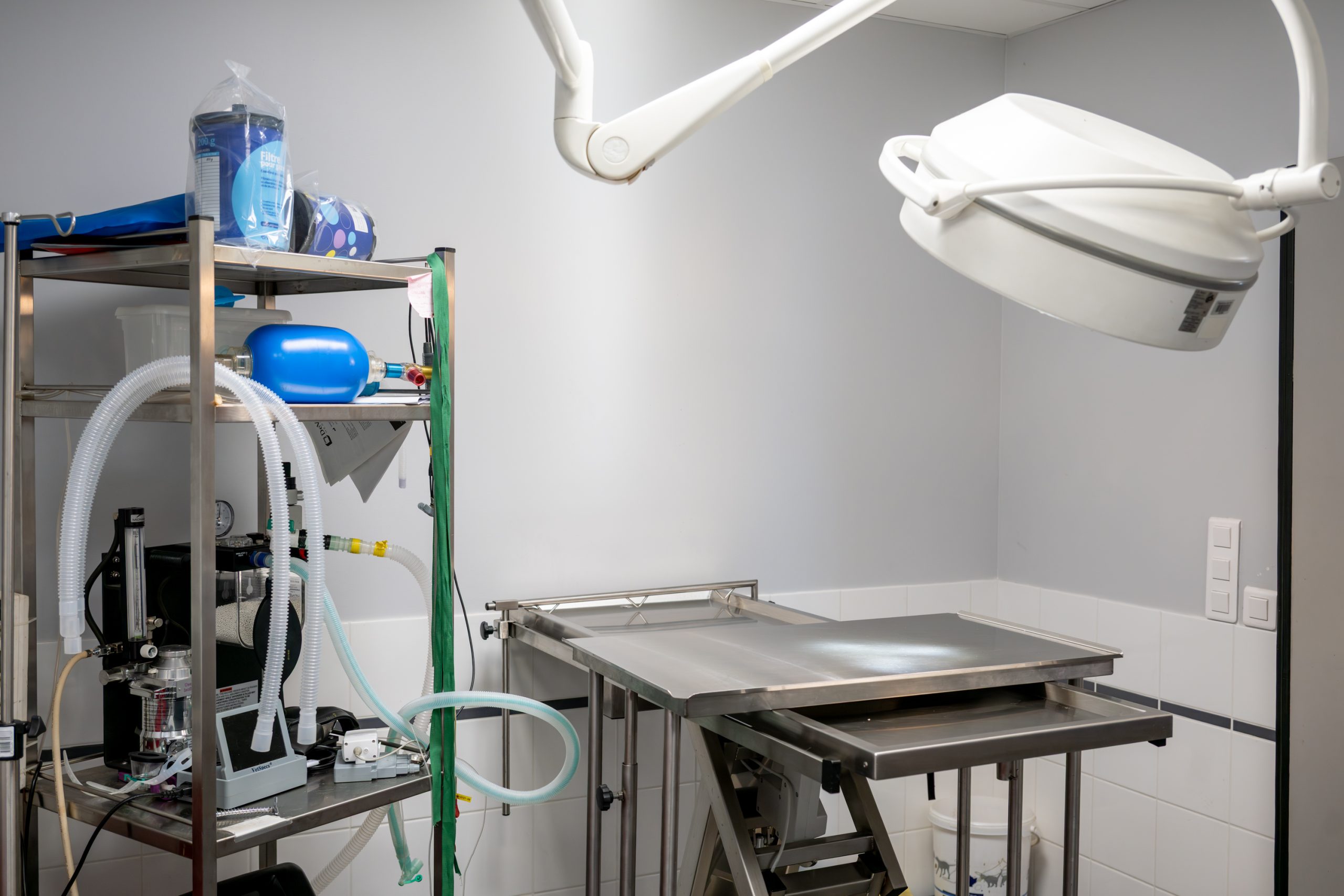 clinique vétérinaire alfavet le bouscat 29