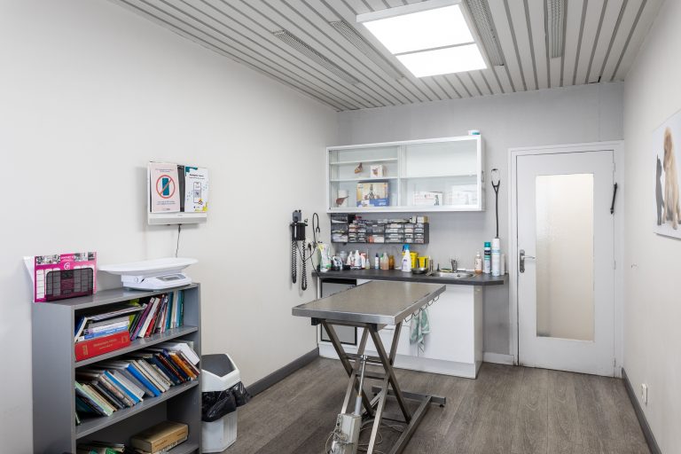 clinique vétérinaire mon véto drancy drancy 06