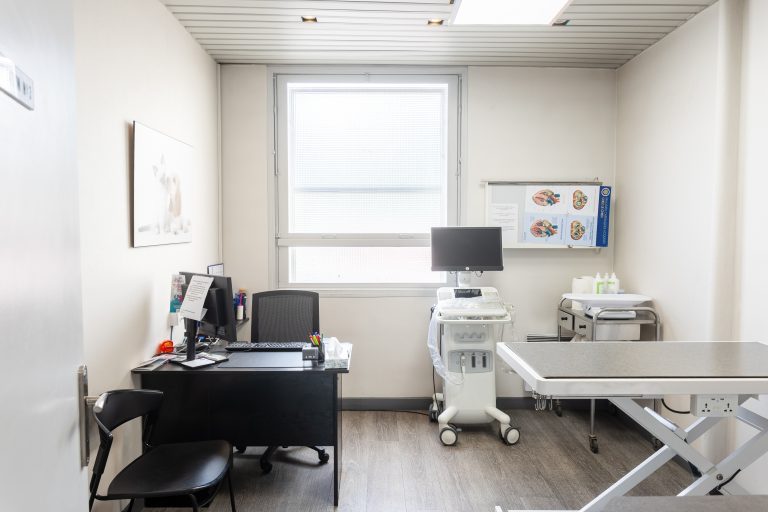clinique vétérinaire mon véto drancy drancy 10