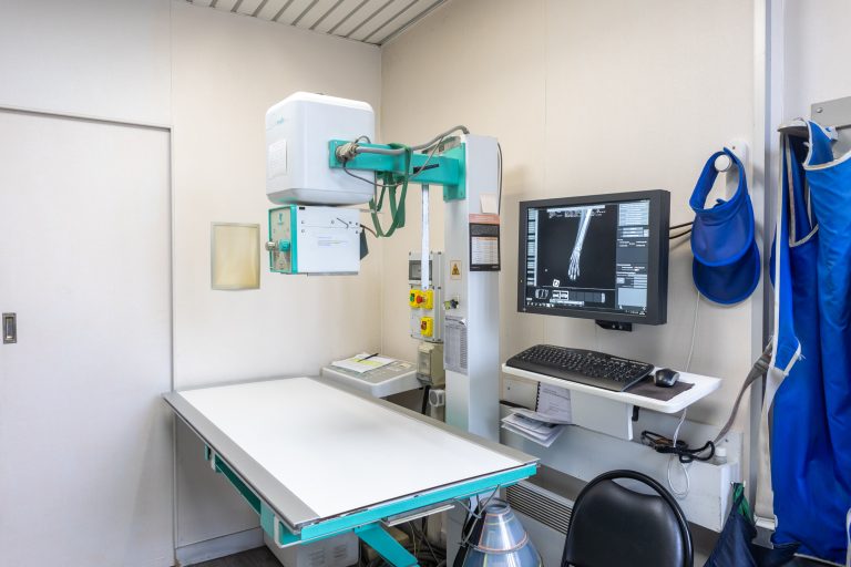 clinique vétérinaire mon véto drancy drancy 11