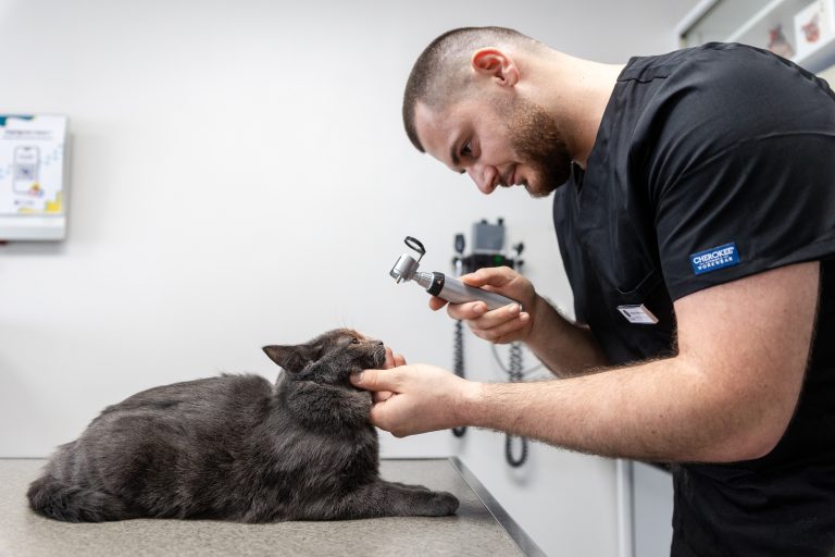 clinique vétérinaire mon véto drancy drancy 15