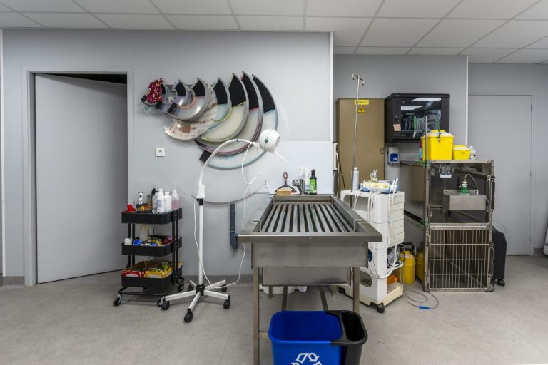 clinique vétérinaire de carrières sous poissy 17 0