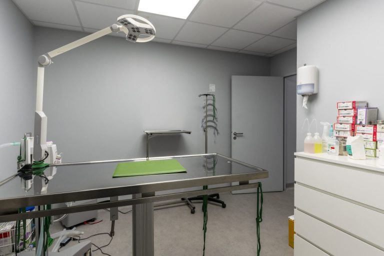 clinique vétérinaire de carrières sous poissy 18 0