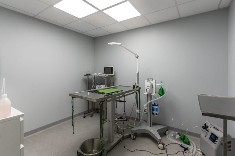 clinique vétérinaire de carrières sous poissy 19 0