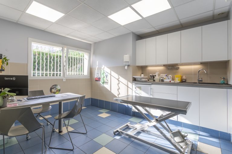 clinique vétérinaire de rousset rousset 8