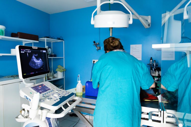 clinique vétérinaire du caou montigny le bretonneux 01