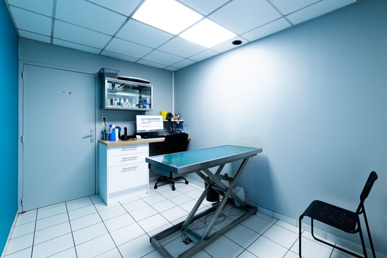 clinique vétérinaire du caou montigny le bretonneux 07