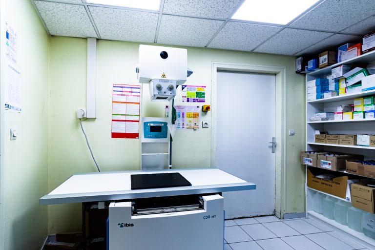 clinique vétérinaire du caou montigny le bretonneux 08
