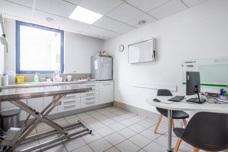 Salle de consultation vétérinaire