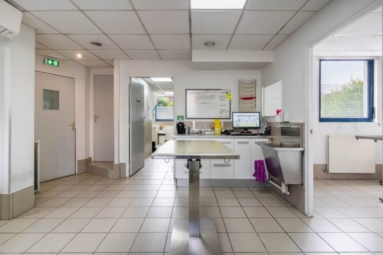 Plateau technique vétérinaire