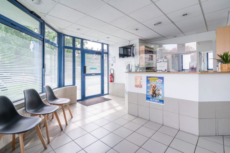 Comptoir d'accueil vétérinaire