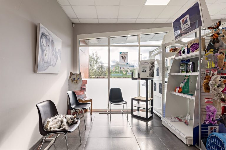 Salle d'attente pour chat