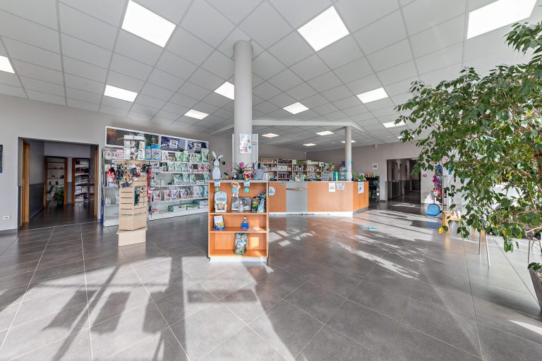 Accueil clinique vétérinaire