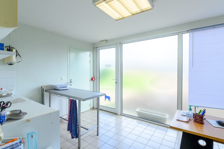  champagnesurseine 42