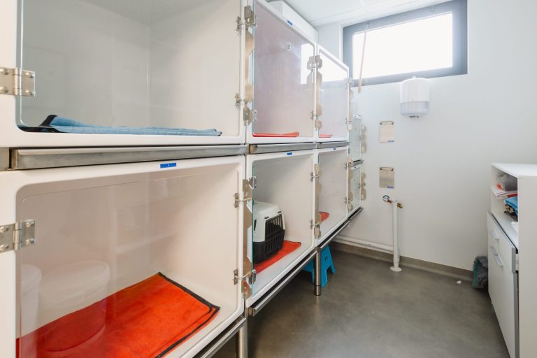 Cabine d'hospitalisation