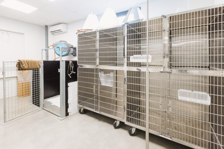 Cage d'hospitalisation