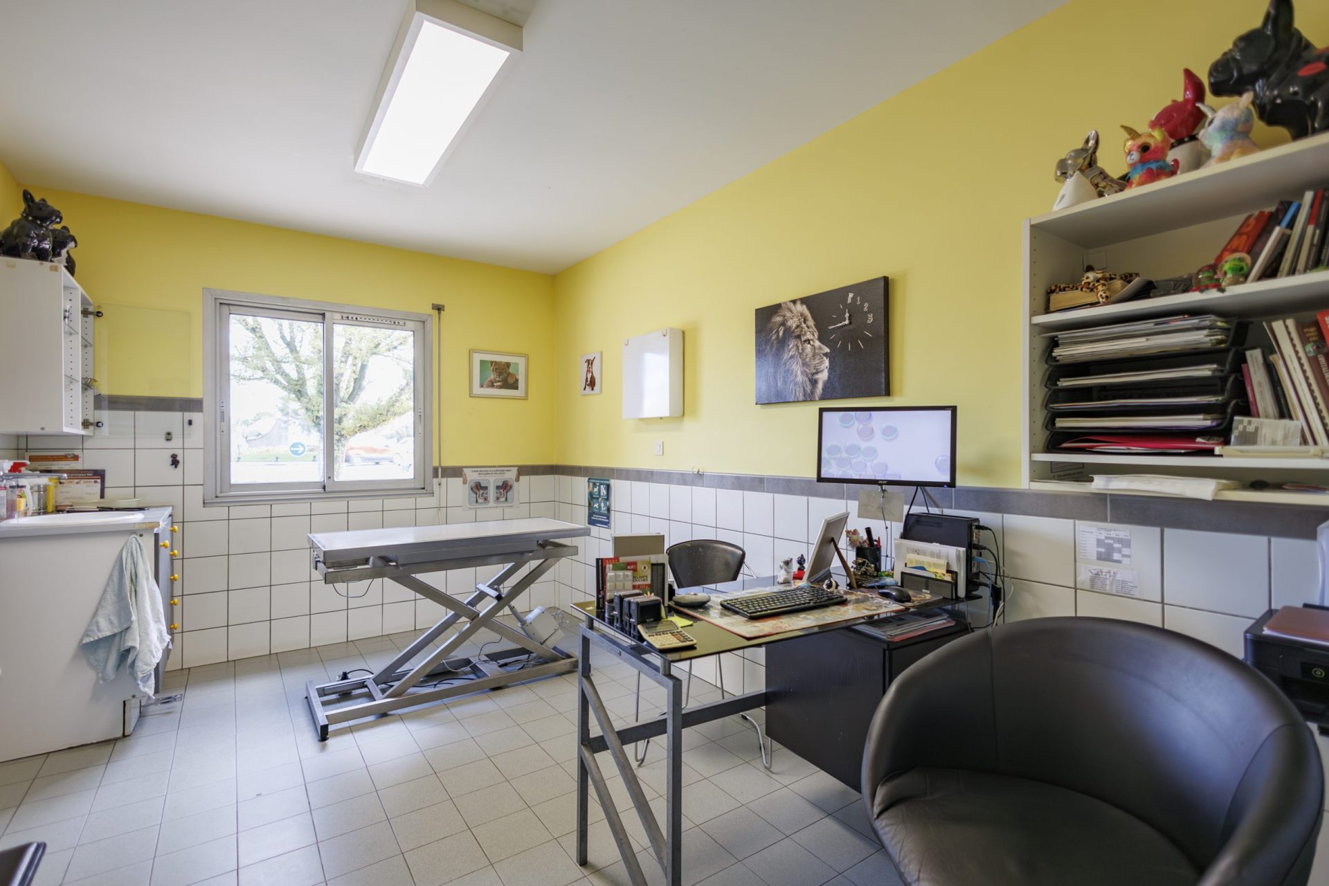 Salle de consultation vétérinaire