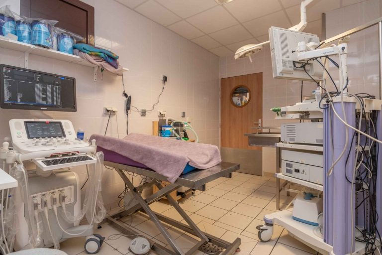 chatenoy en bresse chatenoy en bresse 11