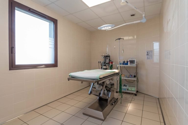 chatenoy en bresse chatenoy en bresse 12