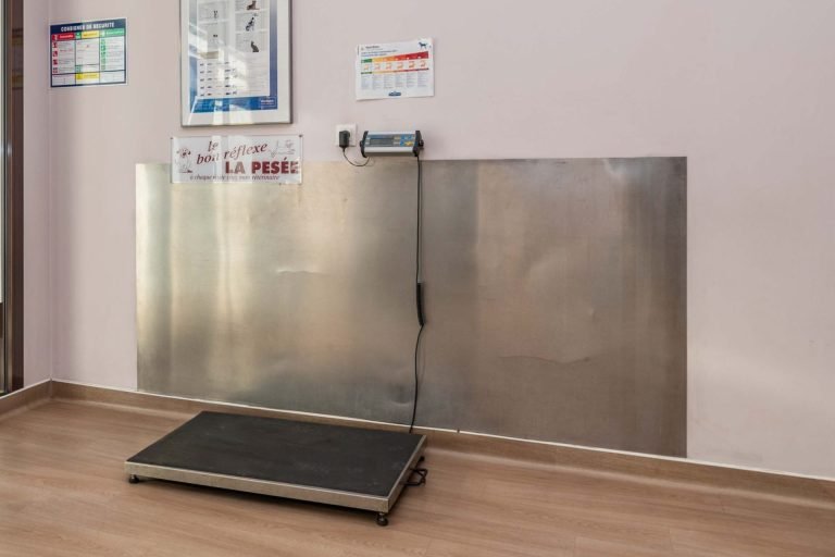 chatenoy en bresse chatenoy en bresse 6