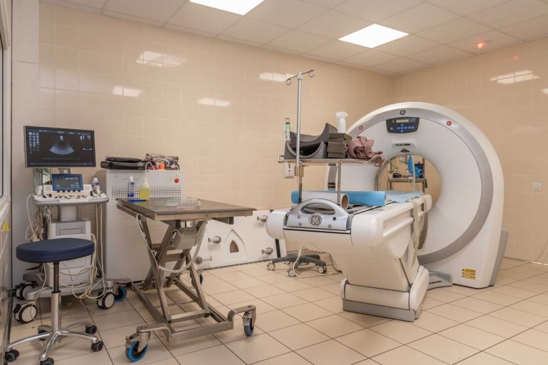 chatenoy en bresse chatenoy en bresse 9