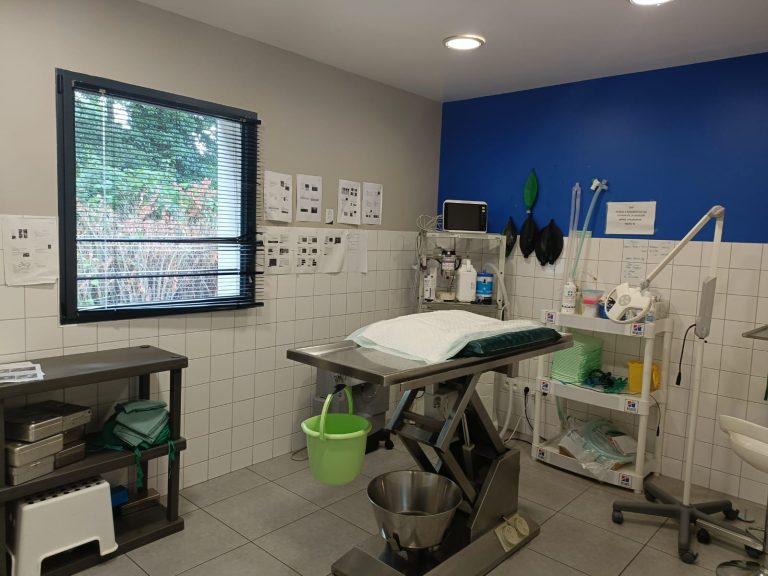 salle de chirurgie