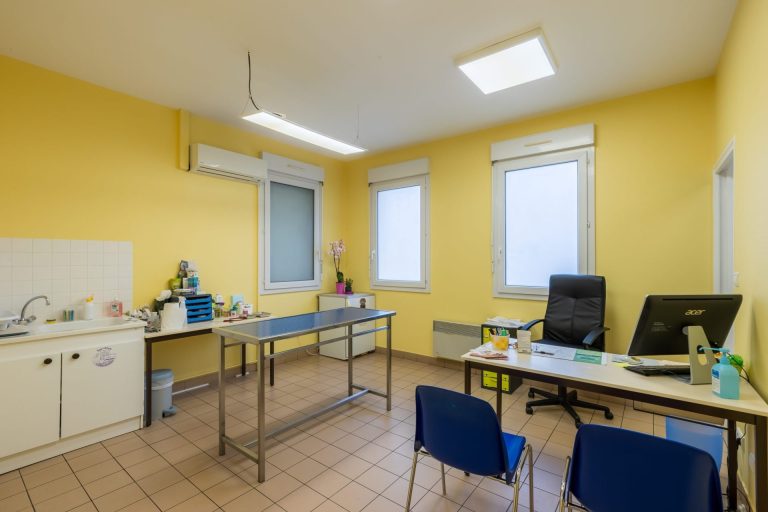 cliniqueveterinaireauxerre conches auxerre 5