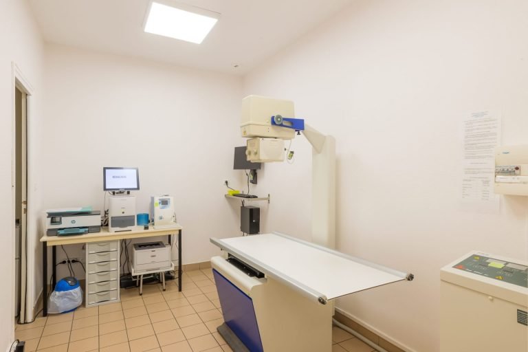 cliniqueveterinaireauxerre conches auxerre 7
